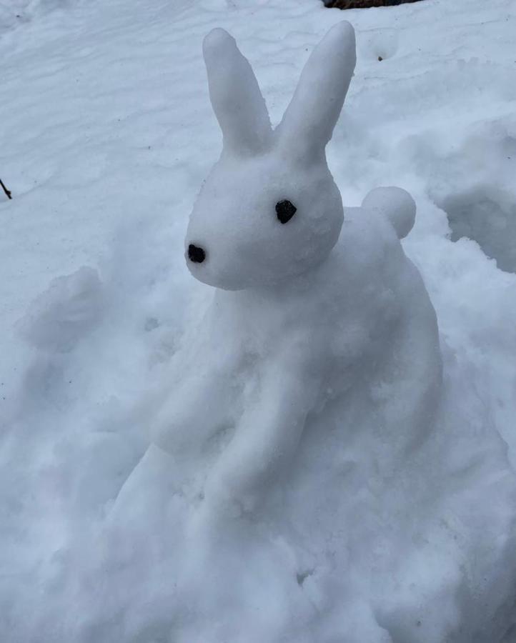 Tule Lomalle Luppoaikaan Villa Rovaniemi Exteriör bild